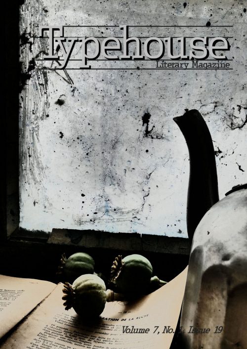 Typehouse Issue 19 Cover